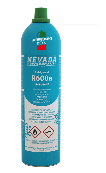 Lot De 2 Bouteilles De Gaz Réfrigérantes R600A R600 420 G